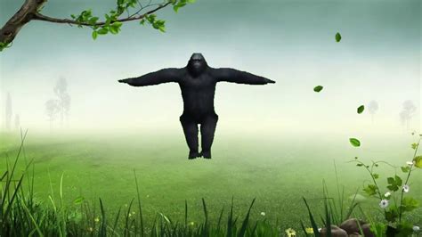 Gorilla Dance Gorilla Dancing In Forest Youtube