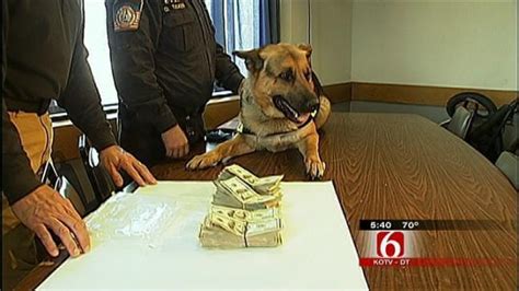 Rogers County K9 Officer Sniffs Out 31000 Drug Seizure Cash