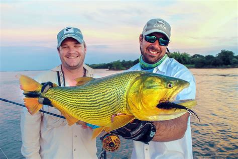 Golden Dorado - In Search Of Ecuadorian Gold / Coastal Angler Mag