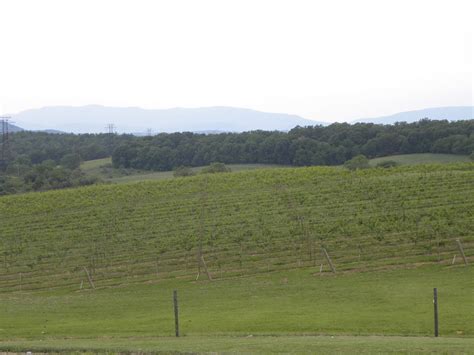Winecompass Barren Ridge Vineyards Fishersville Virginia
