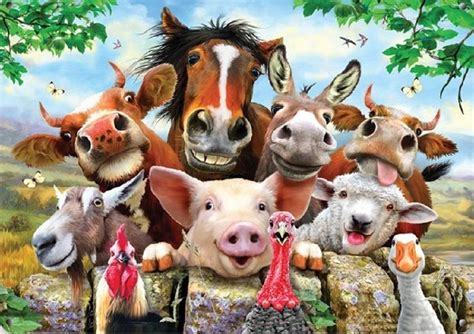 Farm Animal Selfie Animaux De La Ferme Animaux Animales