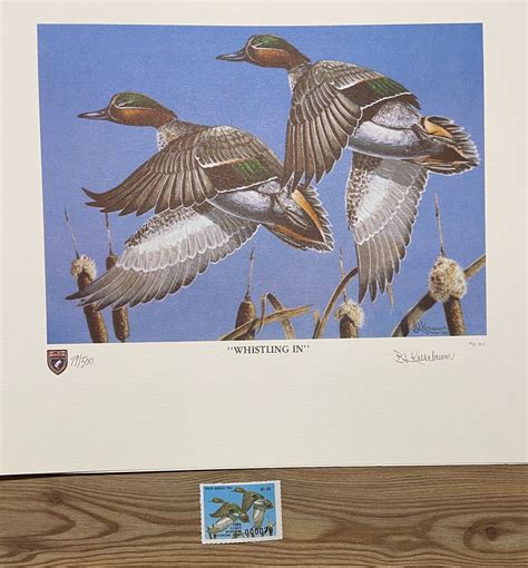 1980 Illinois State Duck Stamp Print Grelly Usa