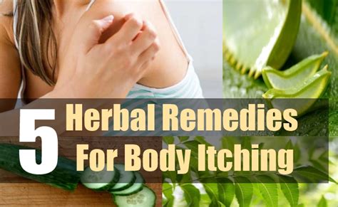 5 Herbal Remedies For Body Itching Natural Home Remedies And Supplements