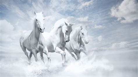 1920x1080 White Horses Hd Laptop Full Hd 1080p Hd 4k Wallpapers Images