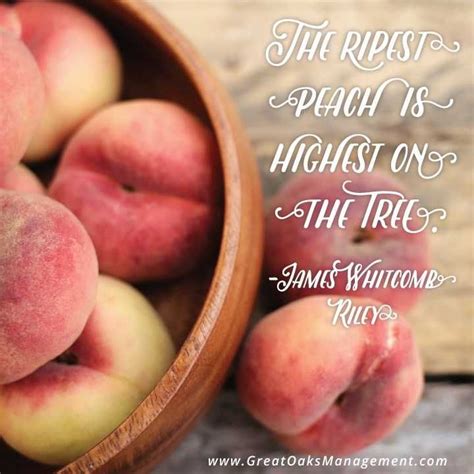 Art in nature is rhythmic and has a horror of constraint. Pin by Great Oaks Management on Quotes | Peach, Quotes, Fruit