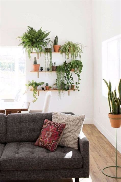 Pretty House Plants Ideas For Living Room Decoration 27 Living Room