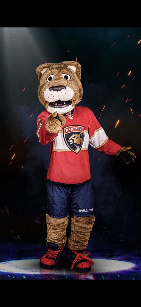 Florida Panthers Mascot Twitter