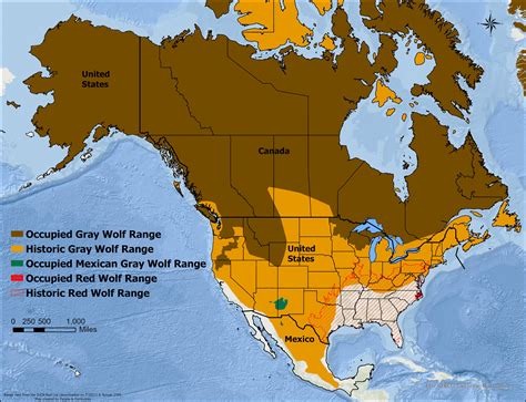Red Wolf Habitat Map