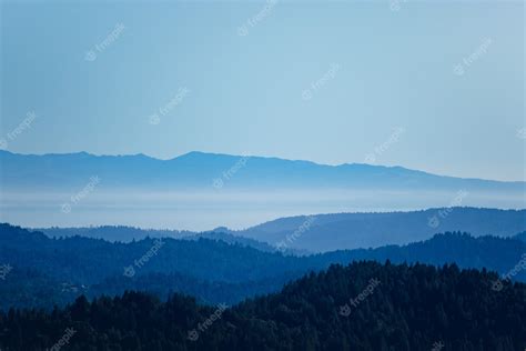 Free Photo Green Trees On Mountain Under White Sky During Daytime