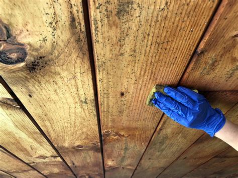 Mold removal from the walls starts by eliminating the main cause. How to Remove Mold From a Wooden Ceiling | HGTV