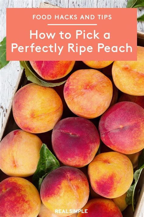 How To Pick A Perfectly Ripe Peach Learn How To Store Peaches So They