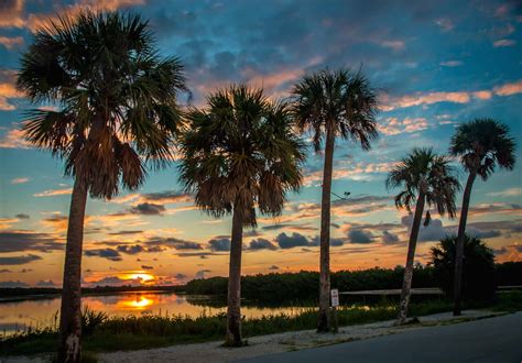 This beachside boutique hotel is the perfect place to plan a relaxing or romantic getaway, nestled along a stretch of private, white sandy beach, adorned with palm trees and large hammocks for sunning. Top 10 Things to Do in Sanibel Island, Florida (For Nature ...