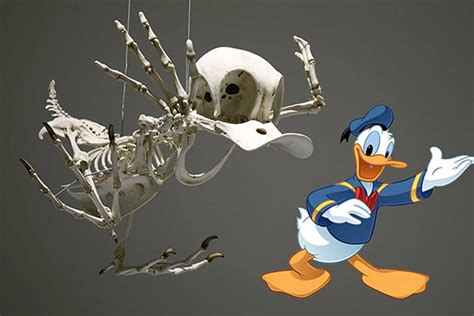 Check spelling or type a new query. Artist Creates Skeletons Of Cartoon Characters