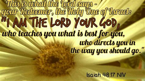 Isaiah 4817 Niv This Is What The Lord Says— Your Redeemer The Holy One Of Israel “i Am The