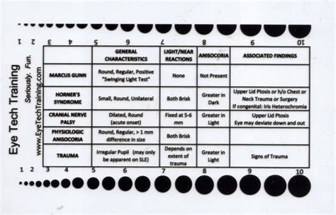 Pupil Gauge With Pupil Characteristics — Eye Tech Training