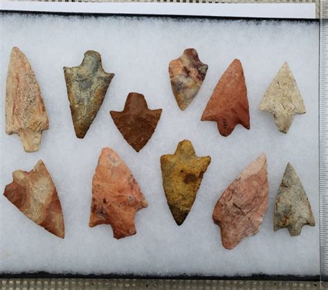 Florida Arrowheads Archives Fossils And Artifacts For Sale Paleo