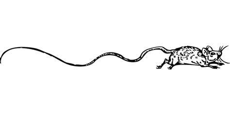 The process is easy when you choose bill's pest control llc. Home - Alans Bug Out Pest Control LLC