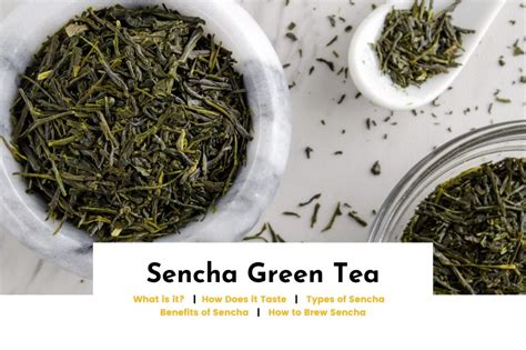 Japanese Sencha Green Tea Taste Benefits And Recipe Twigs Cafe