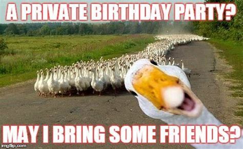 Top 100 Original And Funny Happy Birthday Memes Part 2