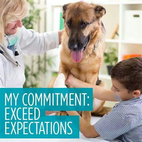 Welcome to the new webmd pet health center. Expectations | Vet tech, Pet health, Veterinary technician