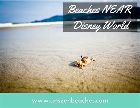 Best Beaches Near Disney Are Also Found On The East Coast Best Beach In