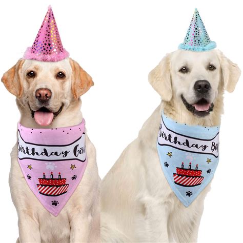 Shiny Dog Birthday Hat And Bandana Set With Birthday Girlboy Bone One Size Pet Bliss Ireland