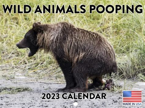 Animals Pooping 2023 Wall Calendar Funny Gag T 18 Month Monthly