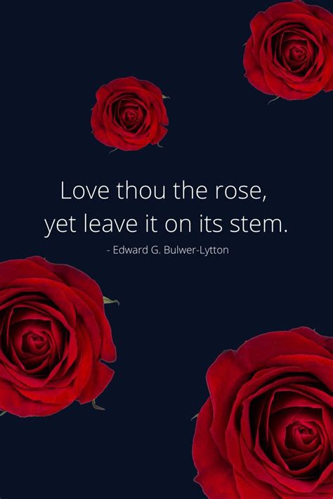 35 Roses Quotes And Sayings Rose Quotes Bulwer Single Friend