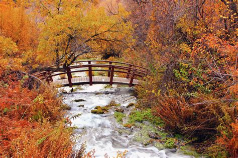 Autumn Bridge Photograph By Johnny Adolphson