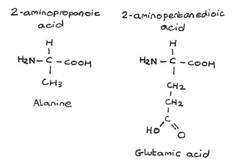 What are the 20 common amino acids and how do they affect our health? Amines And Amino Acids - Revise.im
