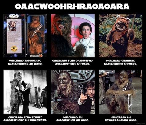 Chewbacca Meme