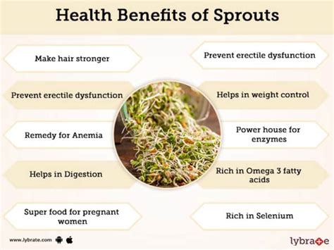 Amazing Health Benefits Of Sprouts