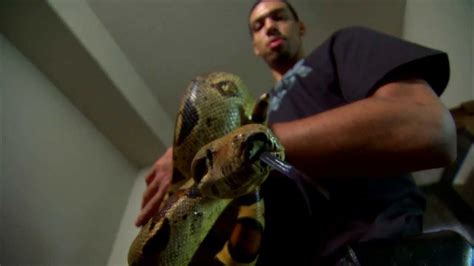 Two Cold Blooded Performers Danny Green And His Pet Snake Youtube