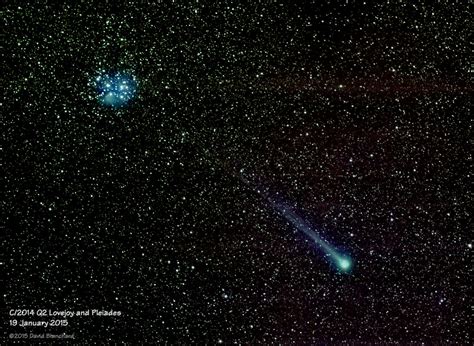 Comet Lovejoy And The Pleiades Flagstaff Altitudes