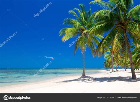Tropical Sea View Stock Photo By ©pakhnyushchyy 170124794