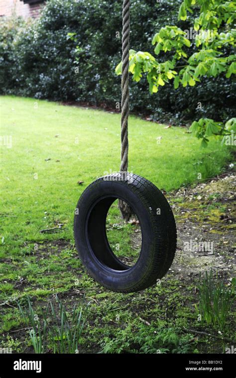 Rope Swing Old Tyre Hanging From A Rope In A Tree At Rest Just