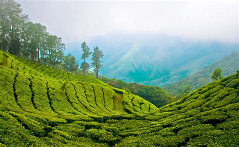 LESS KNOWN THINGS .BLOGSPOT.COM: Indias Top tourist places : Most