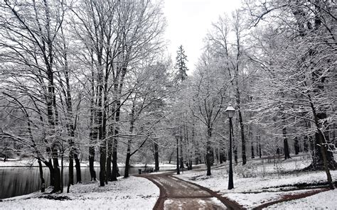 Wallpaper Trees Forest Park Snow Winter Lantern Frost Freezing