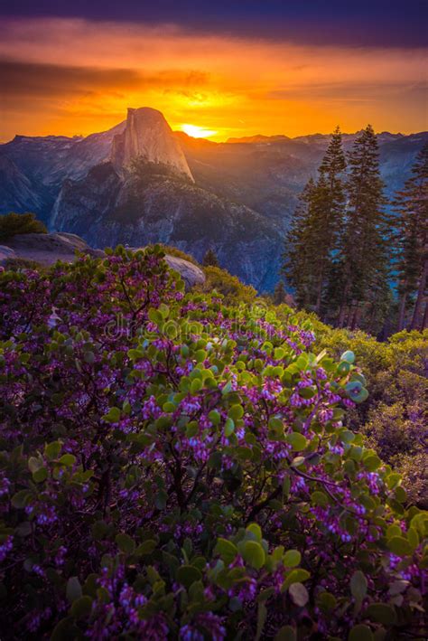 National Park Yosemite Half Dome Lit By Sunset Light Glacier Poi Stock