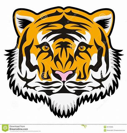 Tiger Face Bengal Clipart Vector Outline Mascot