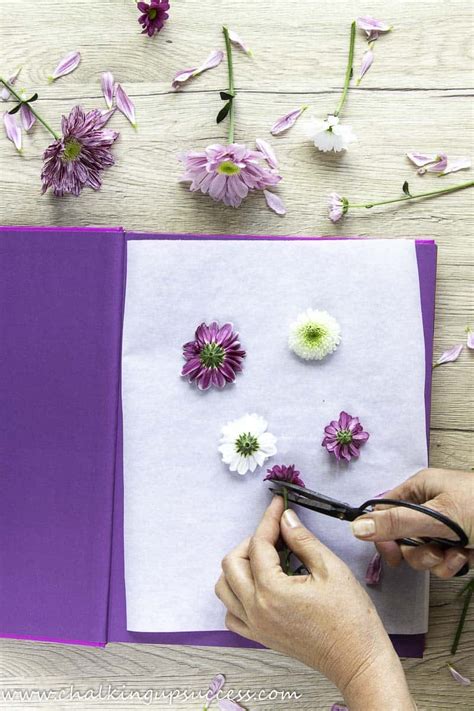Top 10 How To Store Pressed Flowers