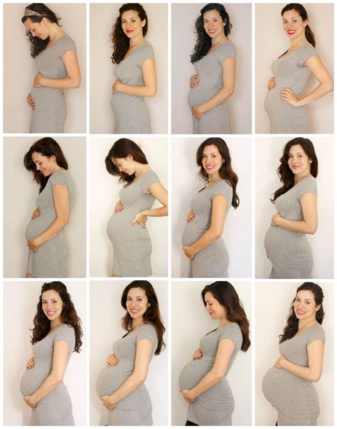 Evolution of a Belly Fotos da barriga de gravidez Sessão de fotos de maternidade Barriga de