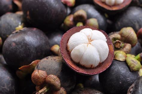 Fruit of the earth is a world leader in premier aloe vera products, skin care and sun care products, so that your family can benefit from the many benefits of aloe vera and other natural or organic products. Mangosteen | AgriFutures Australia