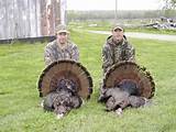 Images of Turkey Hunting Outfitters In Missouri