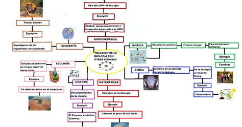 Tareas De BiolÓgica Tarea 3 Mapa Conceptual De La RelaciÓn De La