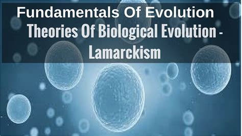 Theories Of Biological Evolution Lamarckism Youtube