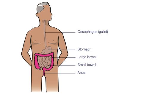 Nevertheless, several thousand cases of bowel cancer are detected this way every year. Withdrawn WITHDRAWN Bowel scope screening: having a ...