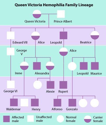 Queen elizabeth and her husband prince philip are distant cousins. Family tree of Queen Victoria showing hemophilia. Research ...
