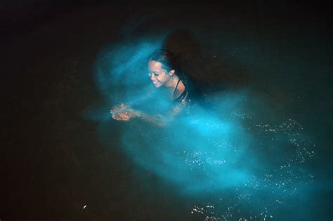 Luminous Lagoon - The World In A Weekend