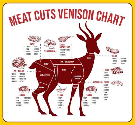 Best Meat Butcher Chart Printable Meat Butcher Venison Meat Deer Meat Recipes